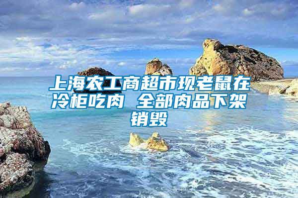 上海農(nóng)工商超市現(xiàn)老鼠在冷柜吃肉 全部肉品下架銷(xiāo)毀