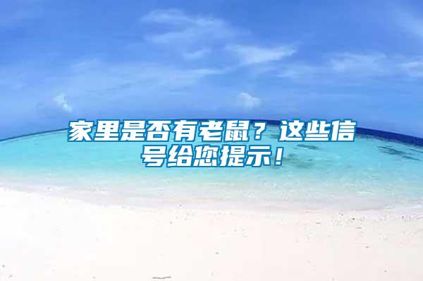 家里是否有老鼠？這些信號給您提示！