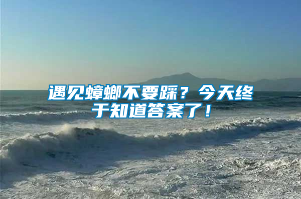 遇見蟑螂不要踩？今天終于知道答案了！