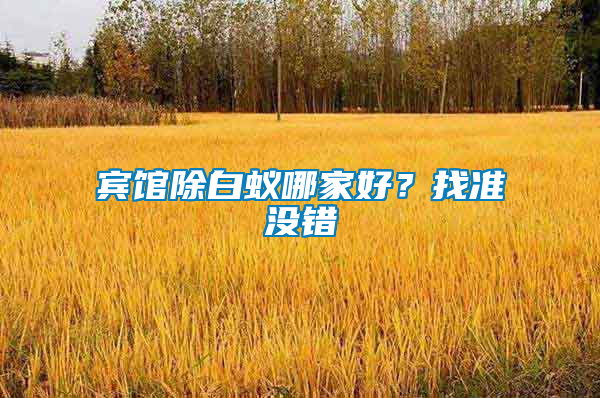 賓館除白蟻哪家好？找準沒錯