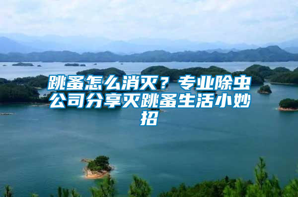 跳蚤怎么消滅？專業除蟲公司分享滅跳蚤生活小妙招