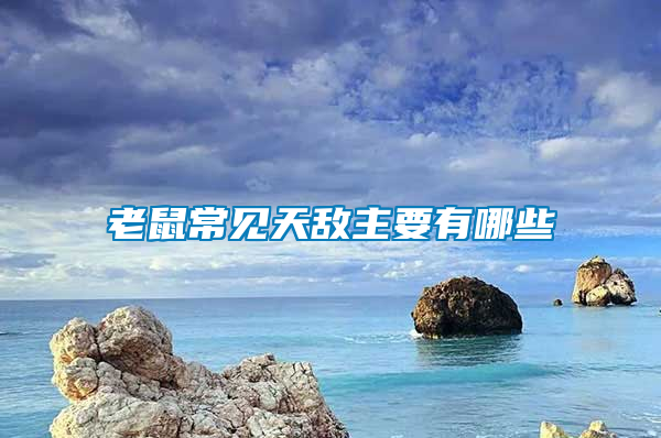 老鼠常見(jiàn)天敵主要有哪些