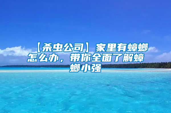 【殺蟲(chóng)公司】家里有蟑螂怎么辦，帶你全面了解蟑螂小強(qiáng)