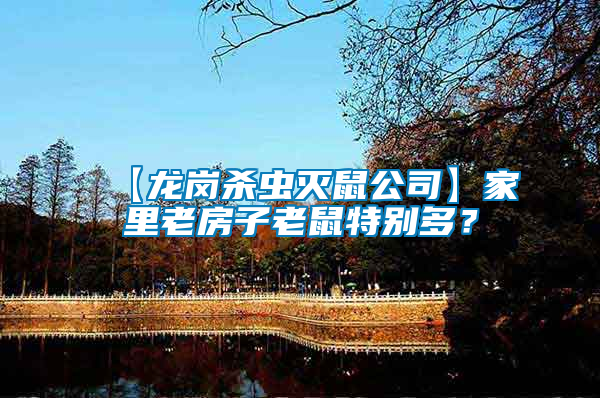 【龍崗殺蟲(chóng)滅鼠公司】家里老房子老鼠特別多？