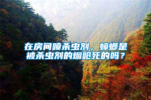 在房間噴殺蟲(chóng)劑，蟑螂是被殺蟲(chóng)劑的煙嗆死的嗎？