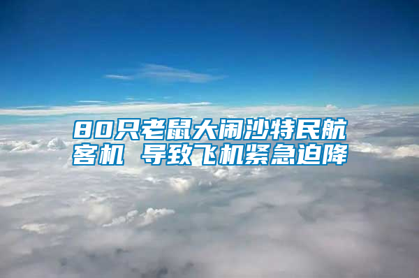 80只老鼠大鬧沙特民航客機 導(dǎo)致飛機緊急迫降