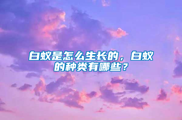 白蟻是怎么生長(zhǎng)的，白蟻的種類有哪些？
