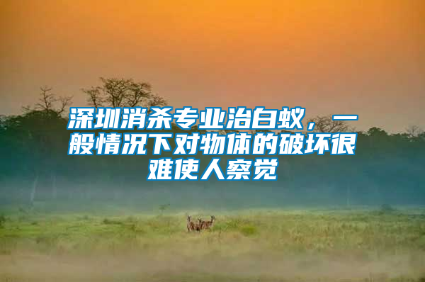 深圳消殺專業治白蟻，一般情況下對物體的破壞很難使人察覺