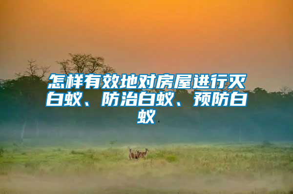 怎樣有效地對(duì)房屋進(jìn)行滅白蟻、防治白蟻、預(yù)防白蟻