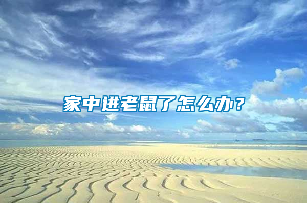 家中進老鼠了怎么辦？