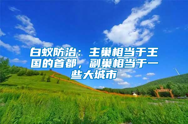 白蟻防治：主巢相當于王國的首都，副巢相當于一些大城市