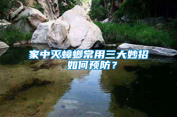 家中滅蟑螂常用三大妙招 如何預防？