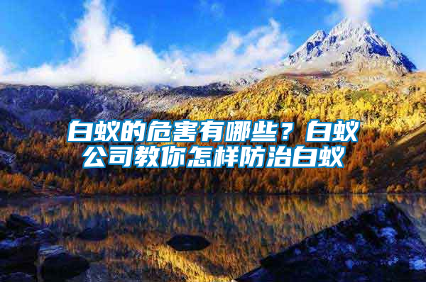 白蟻的危害有哪些？白蟻公司教你怎樣防治白蟻