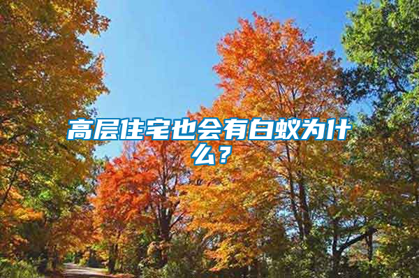 高層住宅也會(huì)有白蟻為什么？