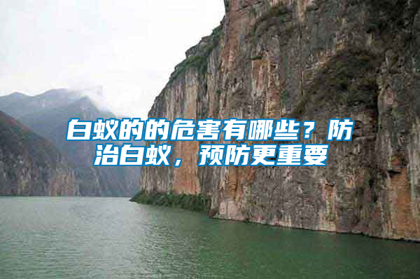 白蟻的的危害有哪些？防治白蟻，預防更重要