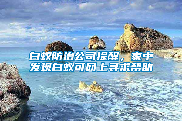 白蟻防治公司提醒，家中發(fā)現(xiàn)白蟻可網(wǎng)上尋求幫助