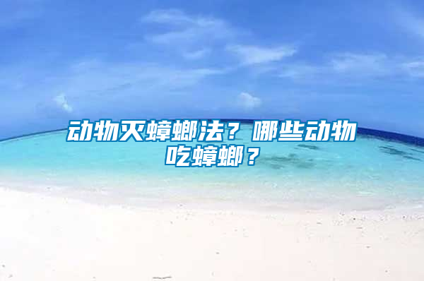 動物滅蟑螂法？哪些動物吃蟑螂？
