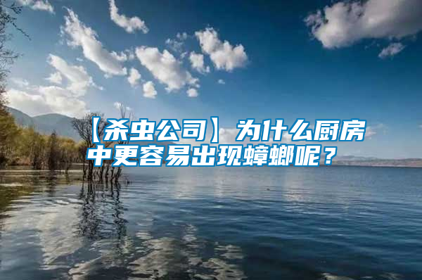 【殺蟲公司】為什么廚房中更容易出現(xiàn)蟑螂呢？