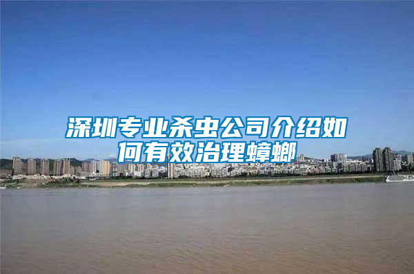 深圳專(zhuān)業(yè)殺蟲(chóng)公司介紹如何有效治理蟑螂