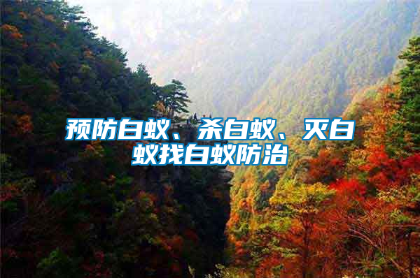預(yù)防白蟻、殺白蟻、滅白蟻找白蟻防治