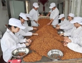 四害消殺：食品、加工行業