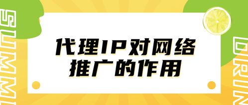 代理IP在網(wǎng)絡(luò)推廣中的關(guān)鍵作用